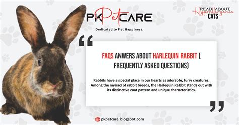 PETS Frequently Asked Questions (FAQ) Updated July 2015